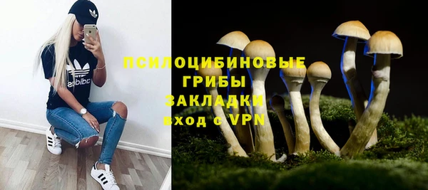 стаф Арсеньев