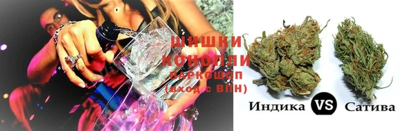 стаф Арсеньев