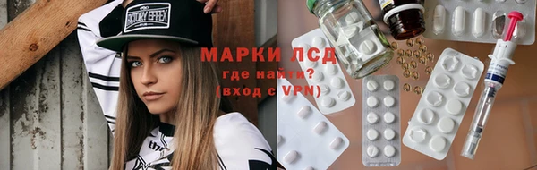 стаф Арсеньев