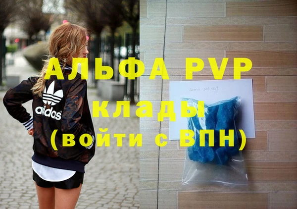 стаф Арсеньев