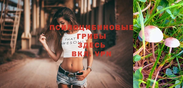соль курить ск Армянск