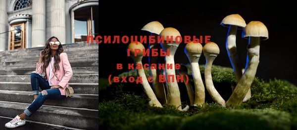 стаф Арсеньев