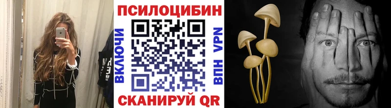 blacksprut маркетплейс  купить наркотики цена  Никольск  Галлюциногенные грибы мухоморы 