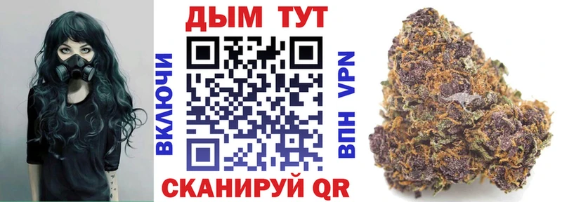 что такое Никольск МАРИХУАНА ГИДРОПОН